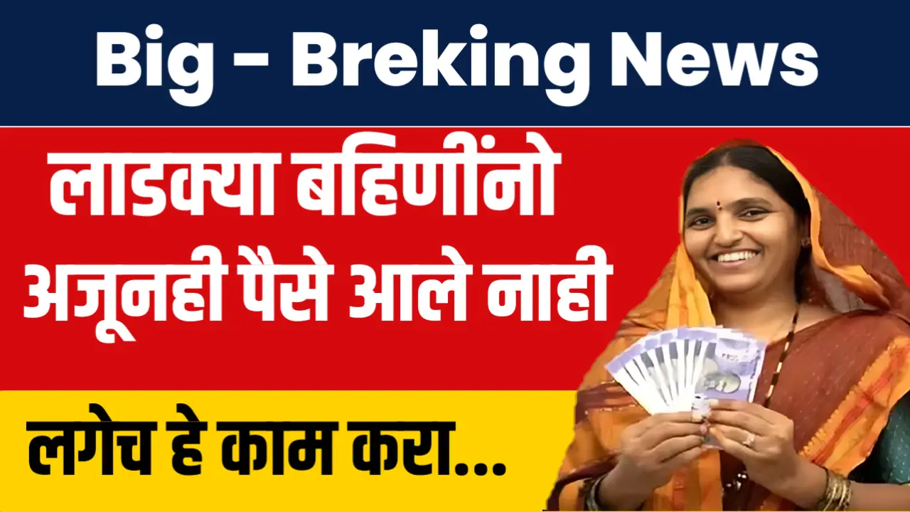 लाडक्या बहिणींना सूचना : योजनेचे पैसे जमा नसेल झाले तर लगेच हे काम करा, त्वरित पैसे जमा होतील