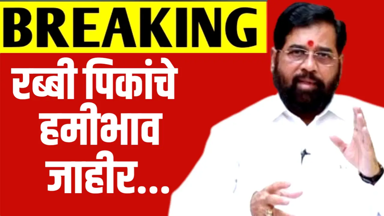 सरकारची घोषणा : या रब्बी पिकांचा हमीभाव जाहीर, शेतकऱ्यांना फायदा