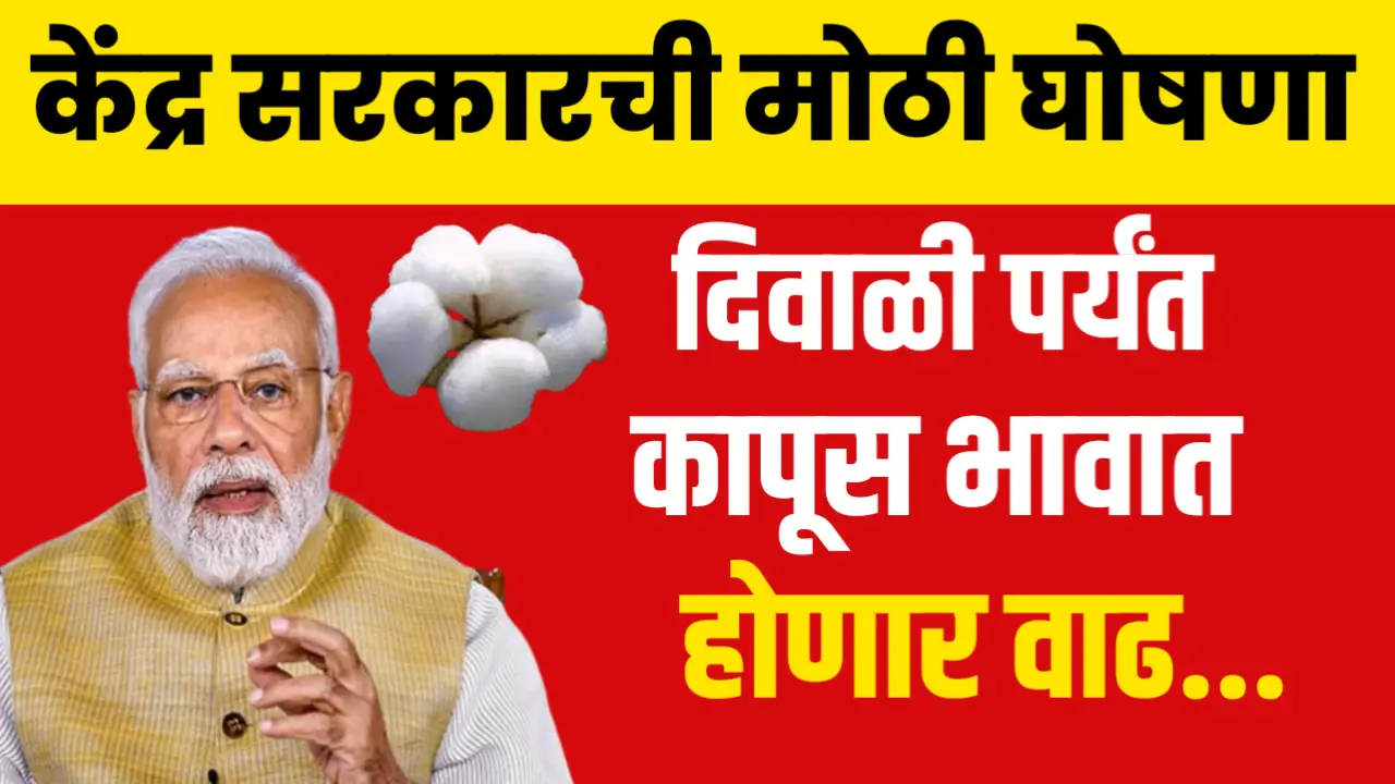 केंद्र सरकारची मोठी घोषणा , दिवाळी पर्यंत कापूस भावात होणार वाढ