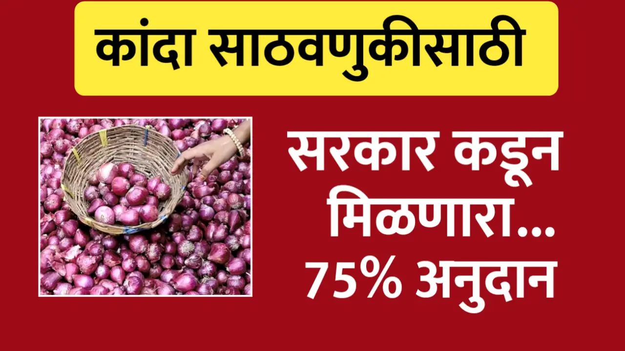 कांदा साठवणुकीसाठी या नागरिकांना मिळणार 75 टक्के अनुदान, असा करा अर्ज
