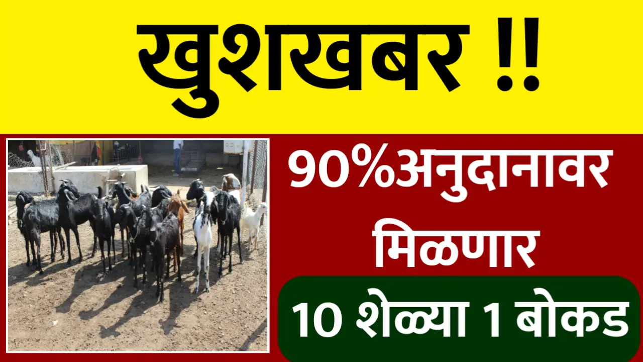 sheli palan yojana