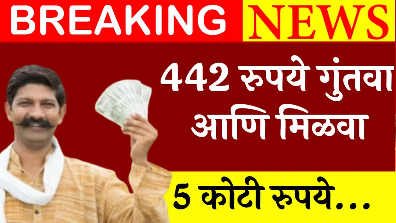 442 investment plan