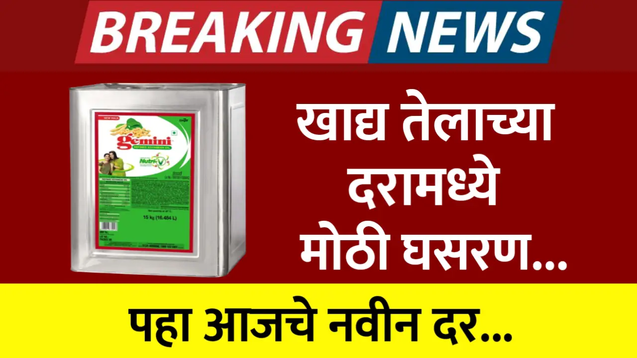 edible oil rate today latest batmi