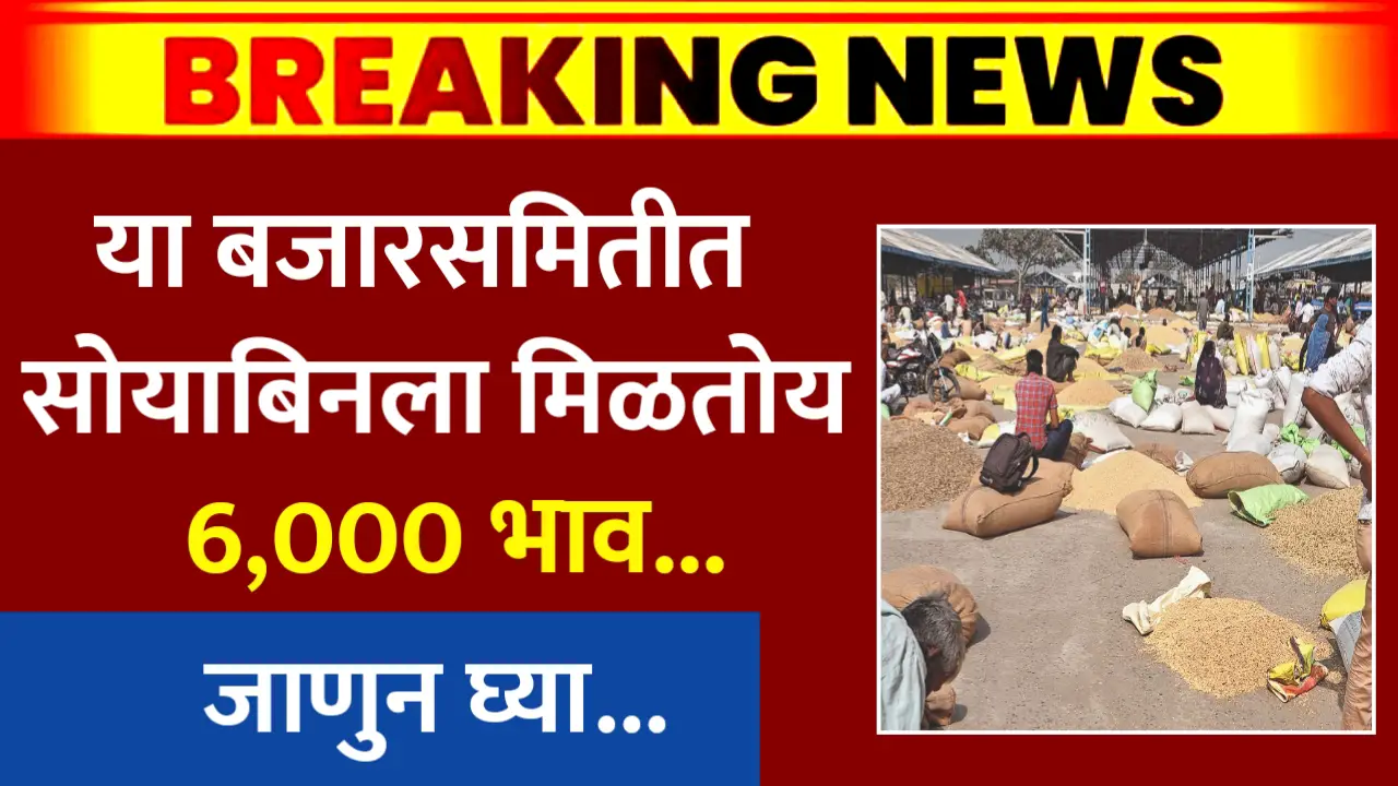 soyabean rate 6000 bazar samiti