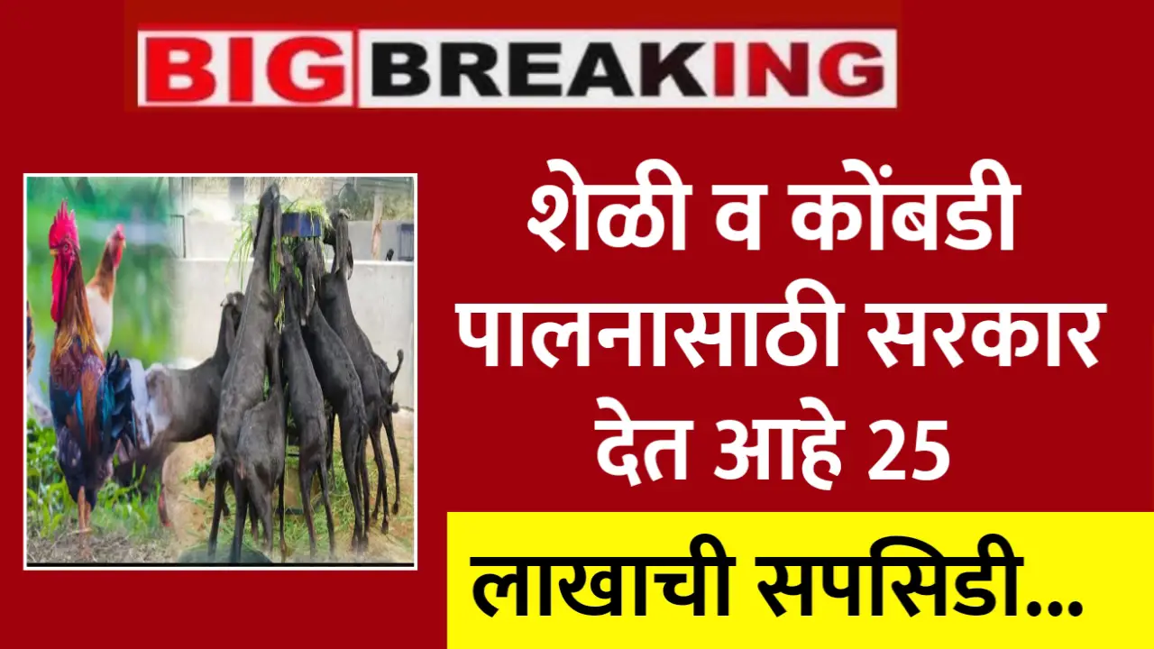 poultry farm subsidy