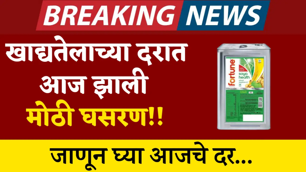 edible oil rate news update