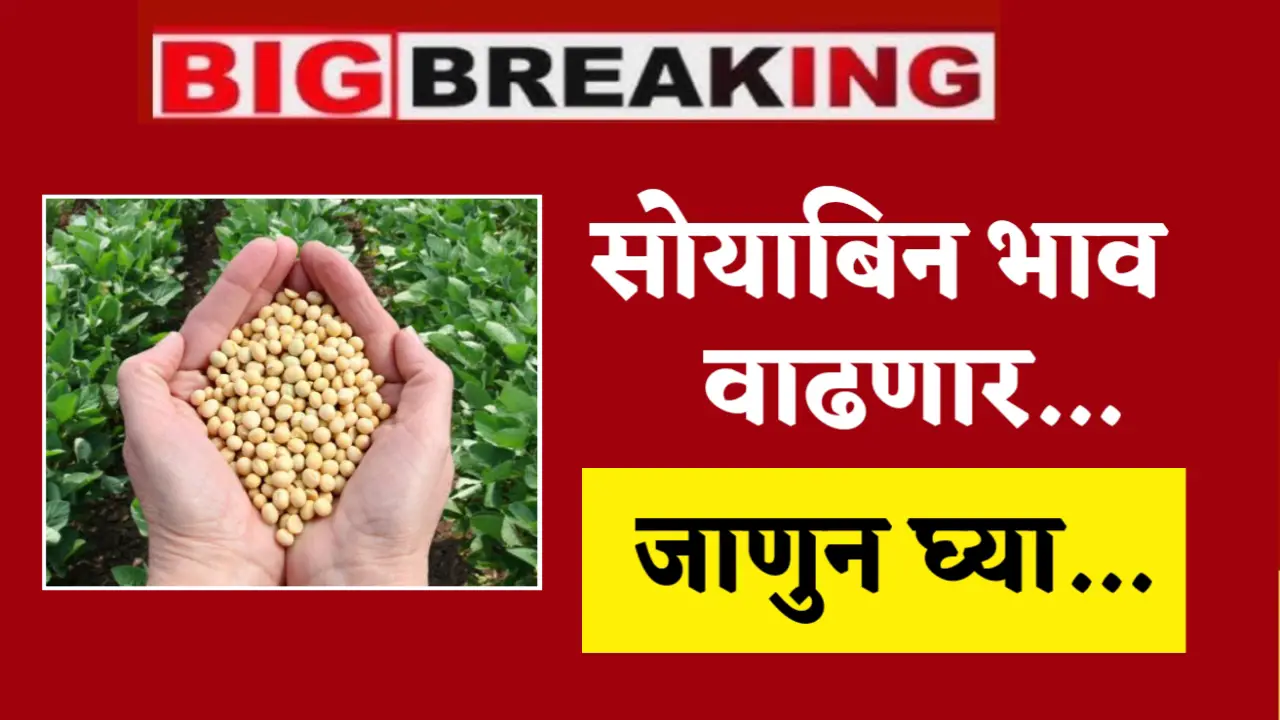 soyabean rate increase news
