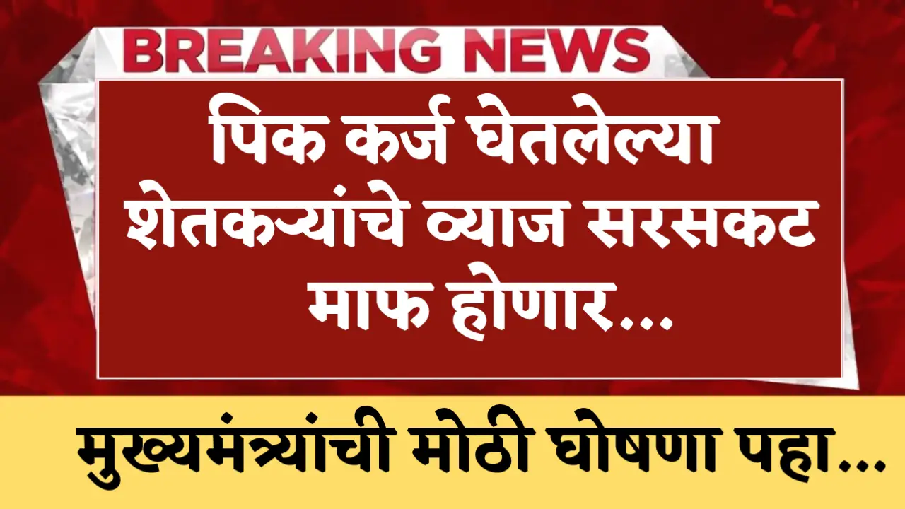 pik loan interest waiver