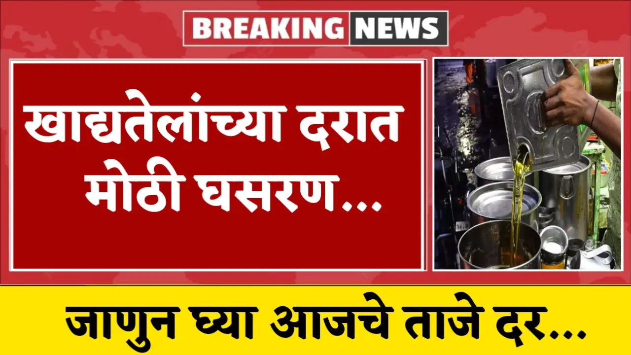 edible oil rate new today