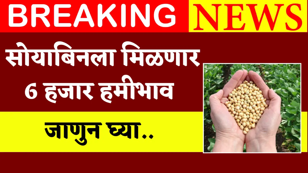 soyabean hamibhav 6000 rs.