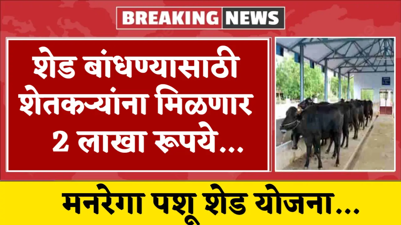 manrega pashu shed yojana