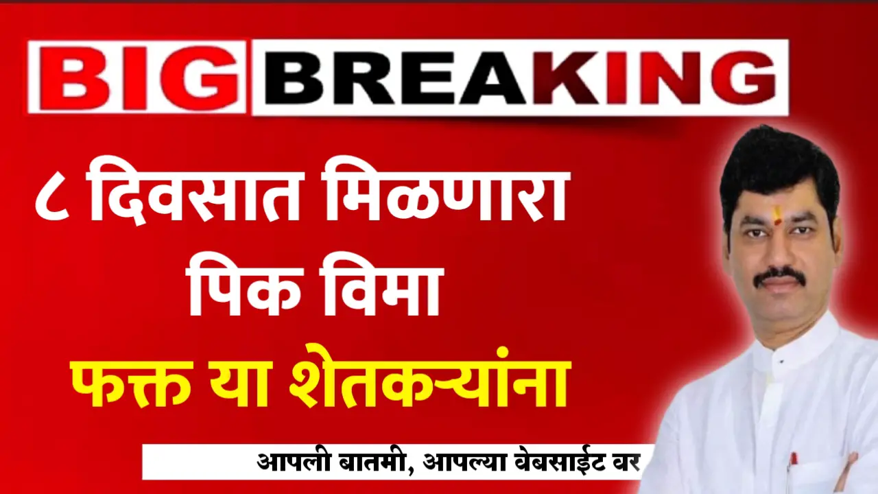 pik vima new list declared