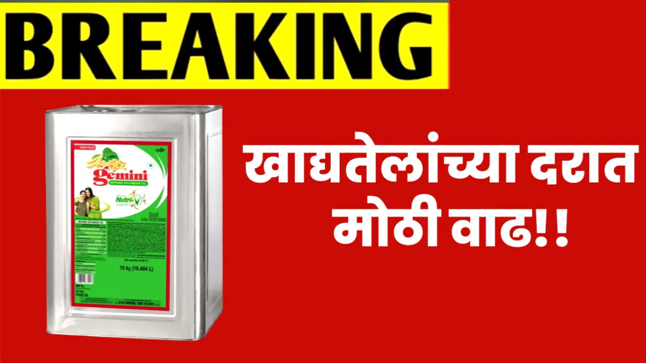 edible oil rate today