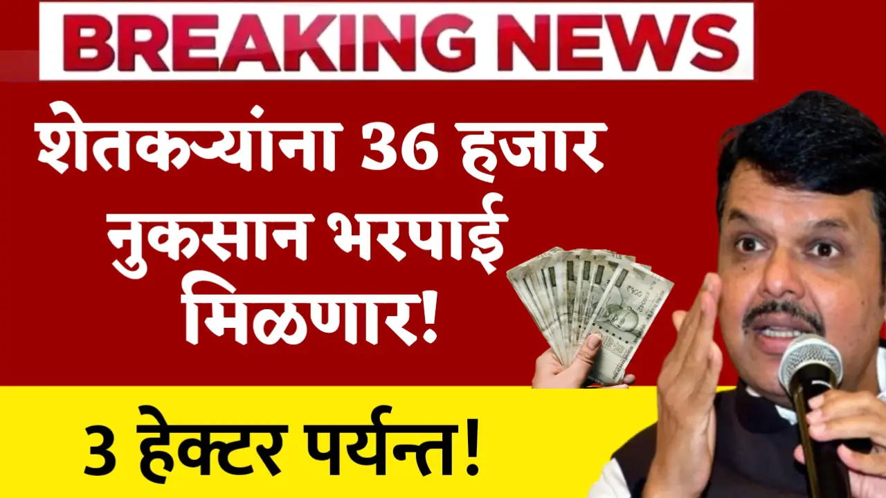 nuksaan bharpai 36000