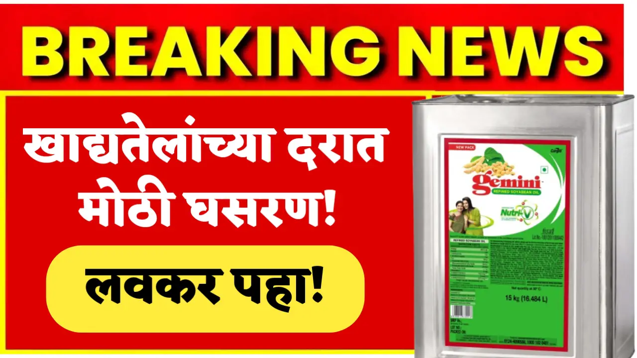 edible oil latest update news