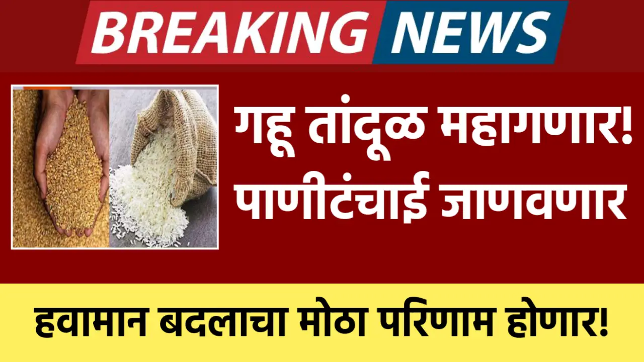 rice wheat prices increase