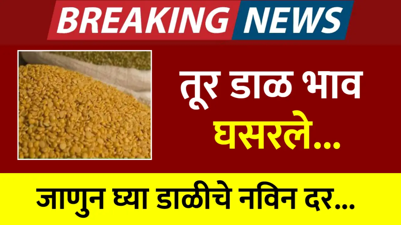 toor dal rate today market