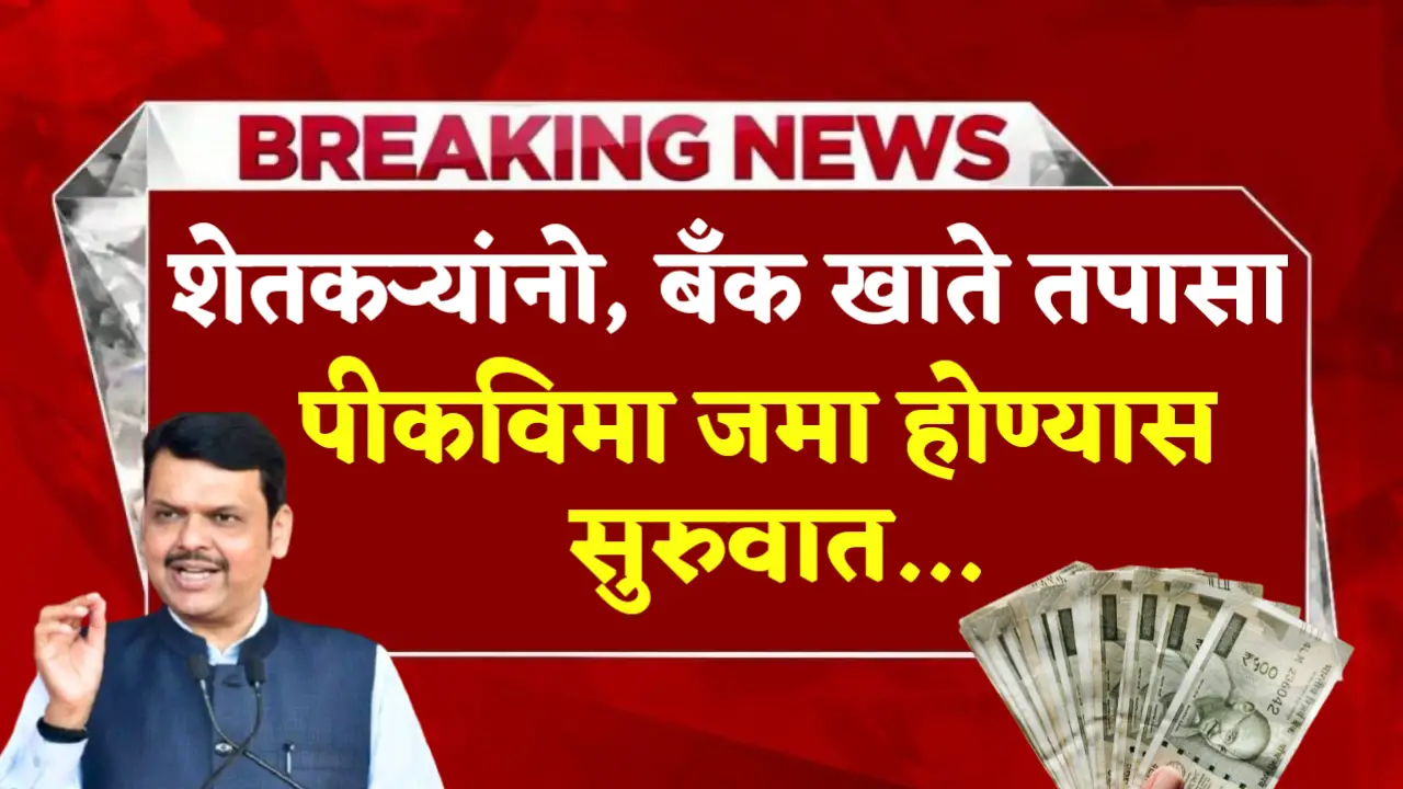 pik vima deposit in bank account