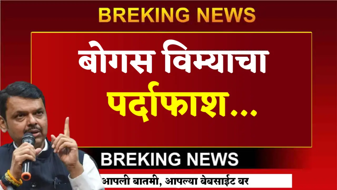 bogas pik vima hot news