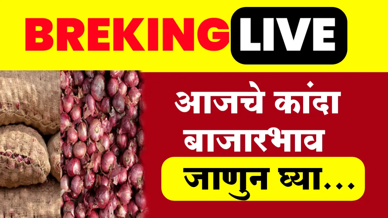 onion rate today