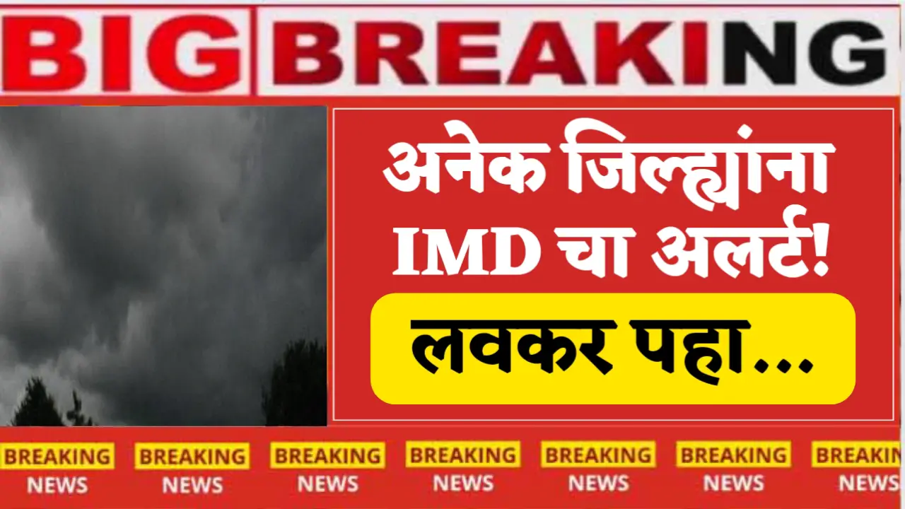 Imd aleart for heavy rain