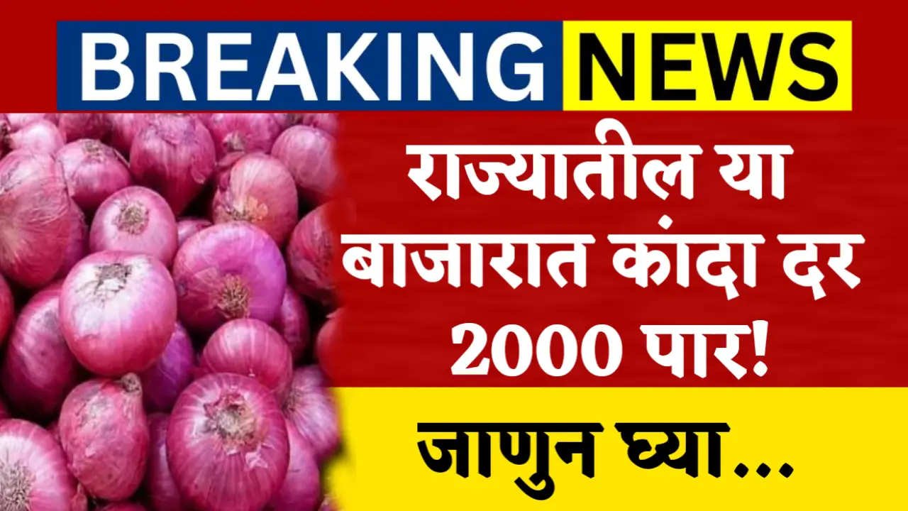 onion price rate